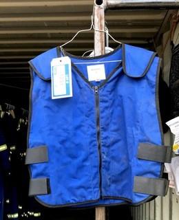 Qty Of (4) Cooling Vests