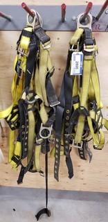 Qty Of Safety Harnesses