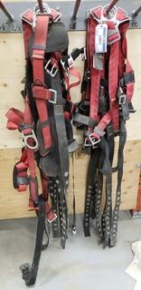 Qty Of Safety Harnesses