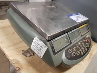 Digital Scale