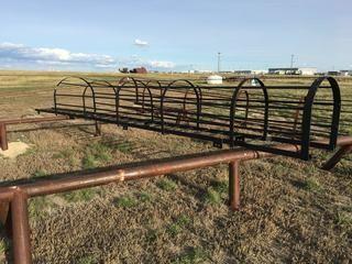 Painted Caged Ladder for 1000 BBL Tank 26'.