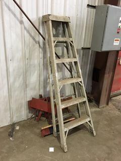 Featherlite 6ft Ladder.