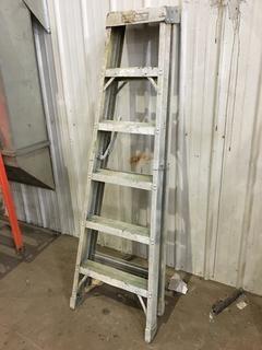 Featherlite 6ft Ladder.