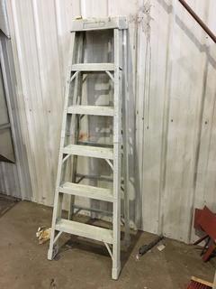 Featherlite 6ft Ladder.