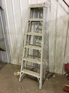 Featherlite 6ft Ladder.