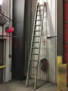 20' Extension Ladder. 
