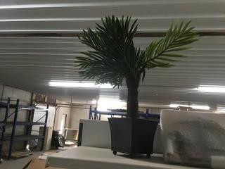 Faux Palm Tree Decor.