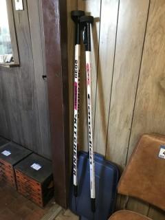 Set Of Beer Pong Poles.