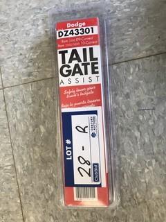 (1 Box) Dee Zee Tail Gate Assist for Dodge Ram, (New)