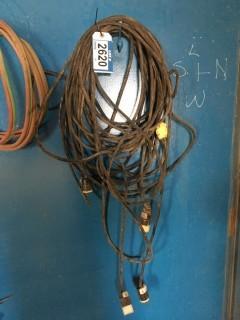 Assorted Extension Cords.