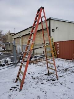 12ft Step ladder