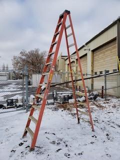 12ft Step ladder