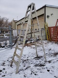 10ft Step Ladder