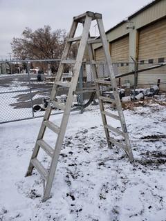 8ft Step Ladder