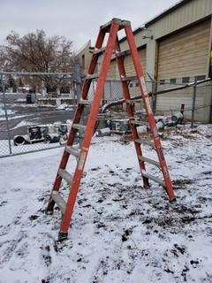 8ft Step Ladder