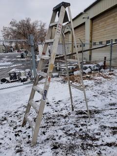 8ft Step Ladder