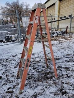 6ft Step Ladder