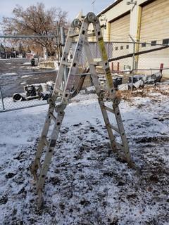 2-Way Hinged Ladder