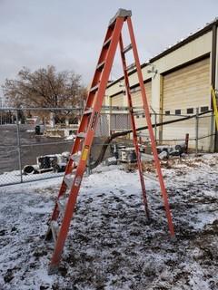 10ft Step Ladder