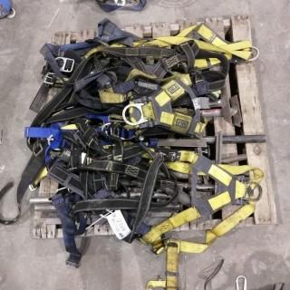 Qty Of Safety Harnesses