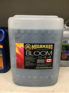 Approximately 20L MegaMass Bloom, (0-4-4).