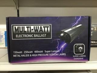 Multi-Watt Electronic Ballast.