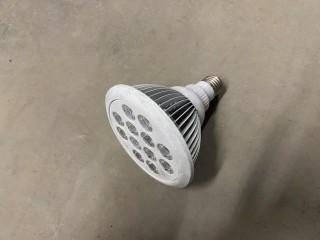 LED Bulb.
