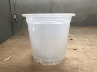 Lot of (2) Boxes of Approximately (24) 1 Gallon Plastic Pots.