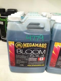 Lot of (5) 1L MegaMass Bloom, (0-4-4).