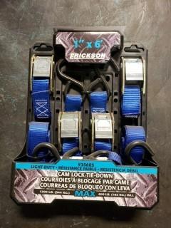 Erickson 1 in x 6 ft Cam Lock Tie Down