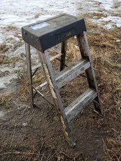 3ft Step Ladder