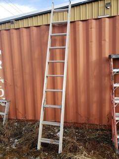 20ft Aluminum Extension Ladder