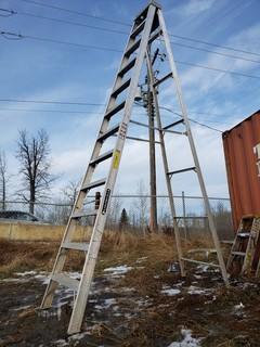 12ft Step Ladder