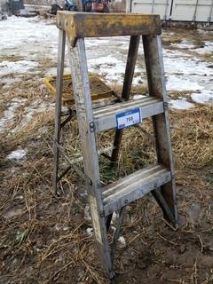 3ft Step Ladder