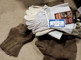 Qty of Gloves