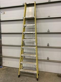 10ft Featherlite Ladder