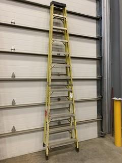 12ft Featherlite Ladder