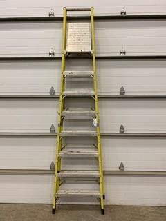 10ft Featherlite Ladder