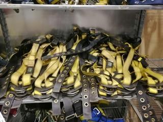 Qty Of Fall Arrest Harnesses