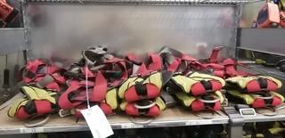 Qty Of Fall Arrest Harnesses