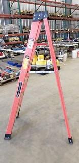 6ft Louisville Ladder