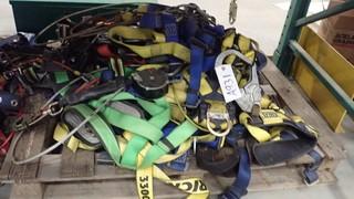 Qty Of Fall Arrest Harnesses