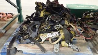Qty Of Fall Arrest Harnesses