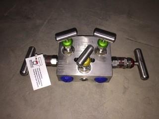 WGI WM55314 6000psi Valve.
