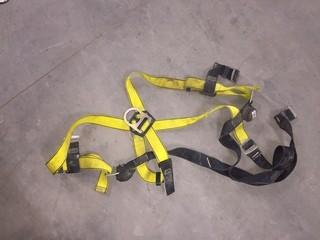 Safety Harness.
