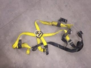 Safety Harness.