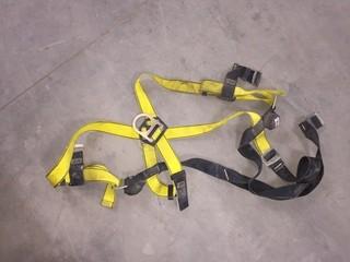 Safety Harness.
