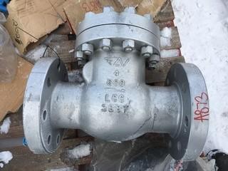 4" Check Valve.