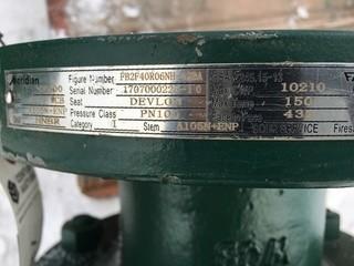 Meridian Valve Size DN100, A216 WCB Body 4".