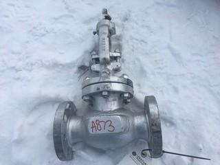 Neway Size 2, Class 300 Control Valve.
